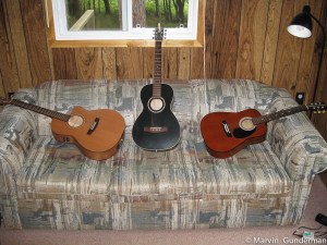 There will be chances to unwind after a long day of entomological bliss. Students often bring their guitars or music.